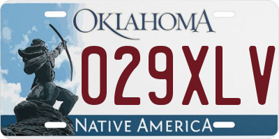 OK license plate 029XLV