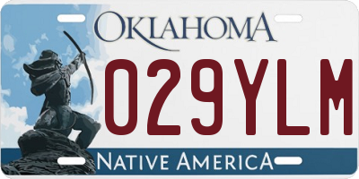 OK license plate 029YLM