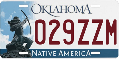 OK license plate 029ZZM