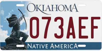 OK license plate 073AEF