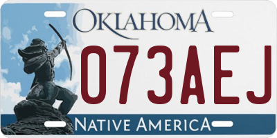OK license plate 073AEJ