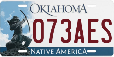 OK license plate 073AES