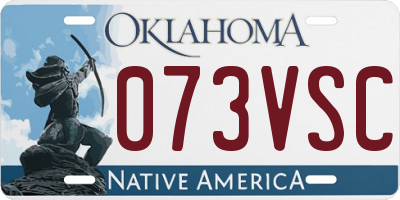 OK license plate 073VSC