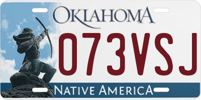 OK license plate 073VSJ
