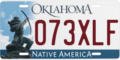 OK license plate 073XLF