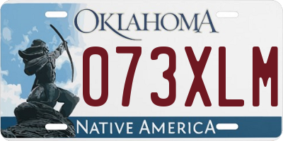 OK license plate 073XLM