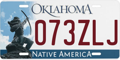 OK license plate 073ZLJ