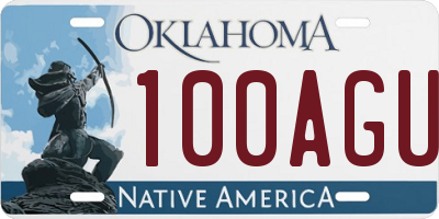 OK license plate 100AGU