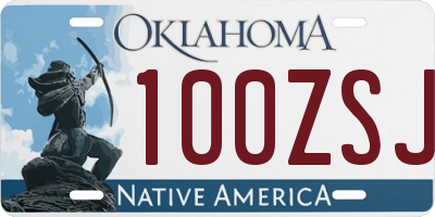 OK license plate 100ZSJ