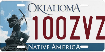 OK license plate 100ZVZ