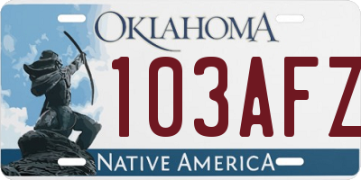 OK license plate 103AFZ