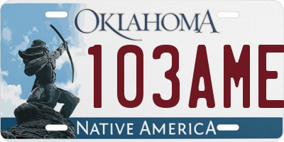 OK license plate 103AME