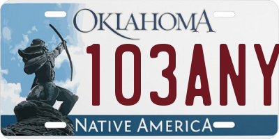 OK license plate 103ANY