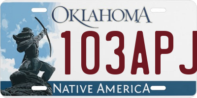 OK license plate 103APJ