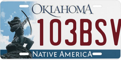 OK license plate 103BSV
