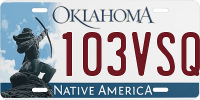 OK license plate 103VSQ