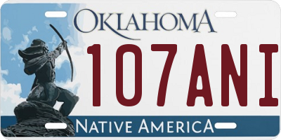 OK license plate 107ANI