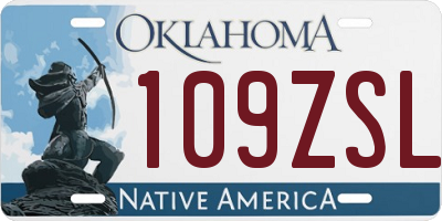 OK license plate 109ZSL