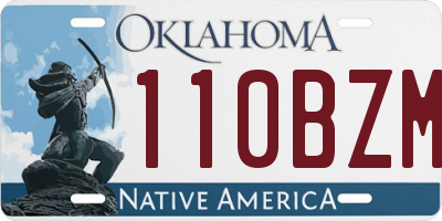 OK license plate 110BZM