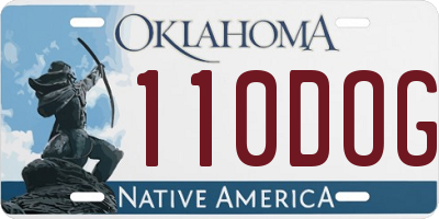 OK license plate 110DOG