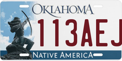 OK license plate 113AEJ