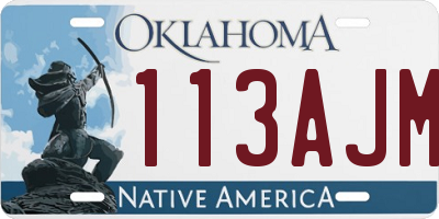 OK license plate 113AJM