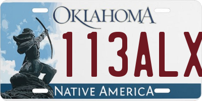 OK license plate 113ALX