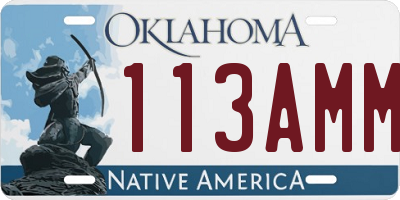 OK license plate 113AMM