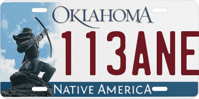 OK license plate 113ANE