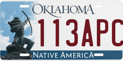 OK license plate 113APC