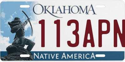 OK license plate 113APN