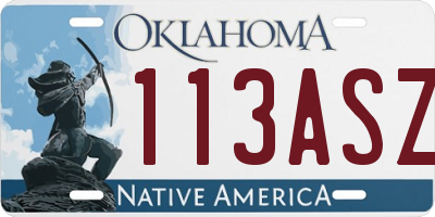 OK license plate 113ASZ