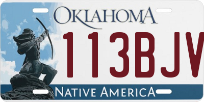 OK license plate 113BJV