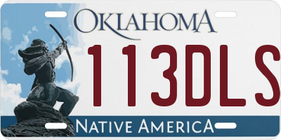OK license plate 113DLS