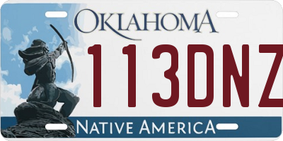 OK license plate 113DNZ