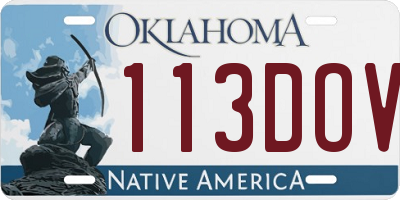 OK license plate 113DOV
