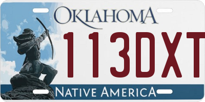 OK license plate 113DXT