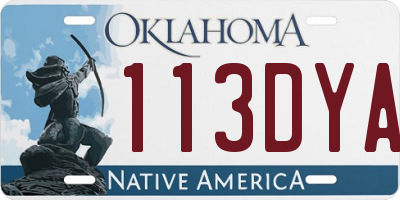 OK license plate 113DYA