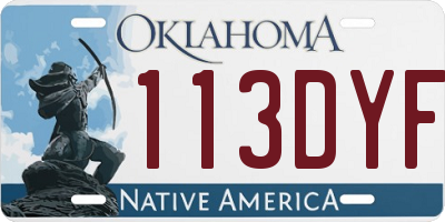 OK license plate 113DYF