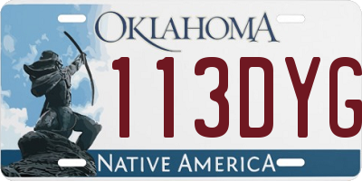 OK license plate 113DYG