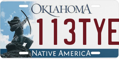 OK license plate 113TYE