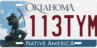 OK license plate 113TYM