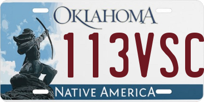 OK license plate 113VSC