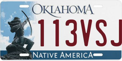 OK license plate 113VSJ