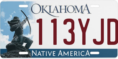 OK license plate 113YJD