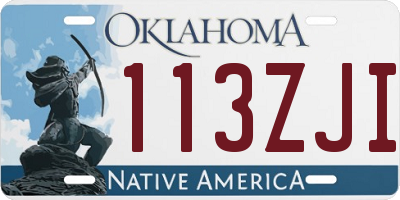 OK license plate 113ZJI