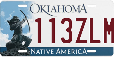 OK license plate 113ZLM