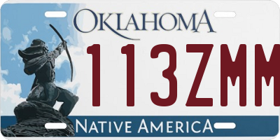 OK license plate 113ZMM