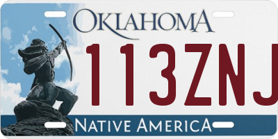 OK license plate 113ZNJ