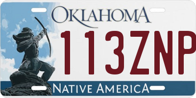 OK license plate 113ZNP